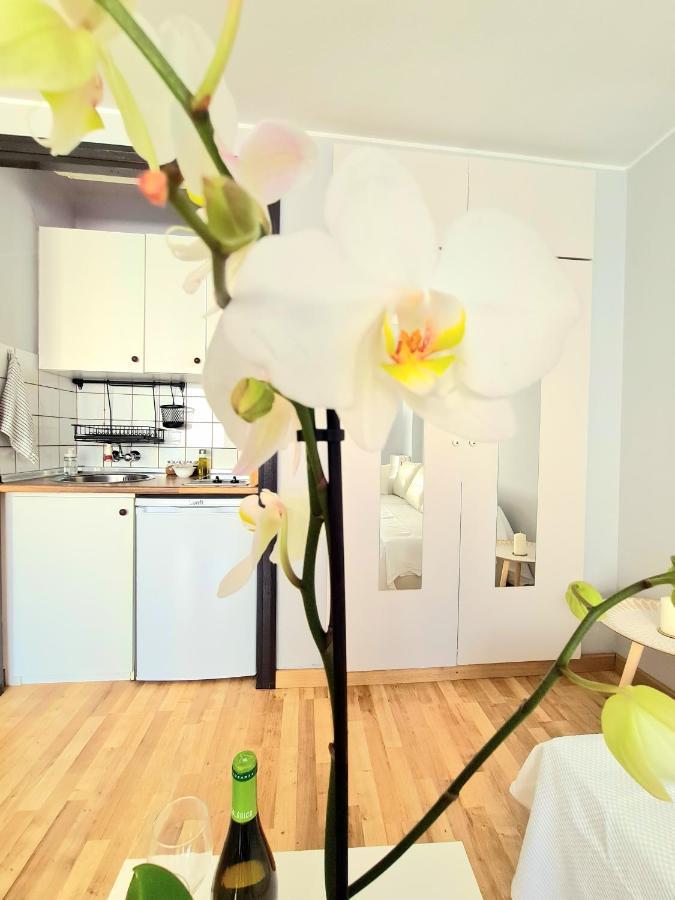 Aa Guest - El Mono De Torre Del Mar Eco Apartment Luaran gambar