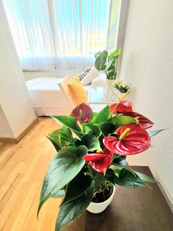 Aa Guest - El Mono De Torre Del Mar Eco Apartment Luaran gambar